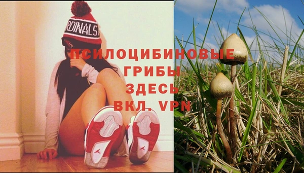 соль курить ск Пестово