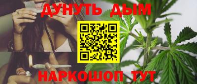 крисы Ирбит