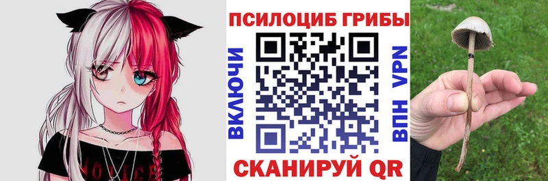 Псилоцибиновые грибы Magic Shrooms  Лиски 
