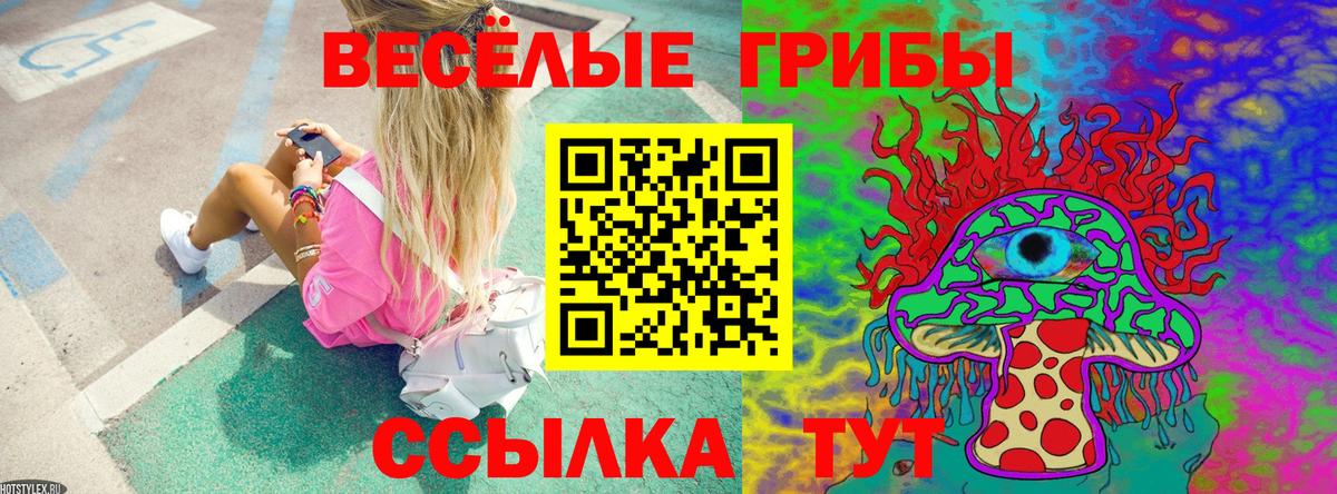 Лиски  Галлюциногенные грибы GOLDEN TEACHER  Вход с VPN 