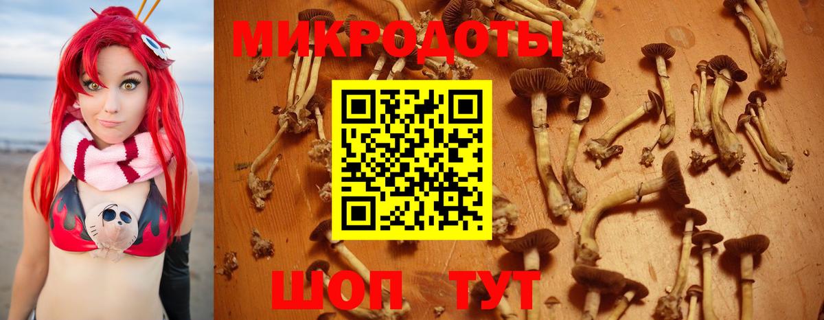 Псилоцибиновые грибы мицелий Лиски