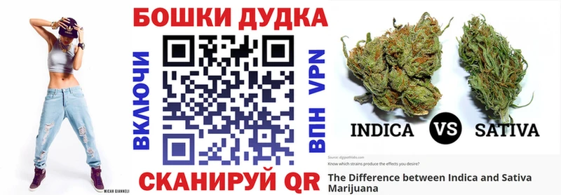 где можно купить наркотик  Лиски  Канабис ГИДРОПОН 